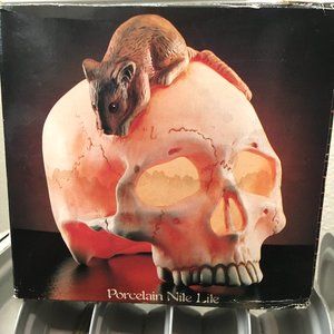 * SKULL w/ MOUSE Ceramic Porcelain  Night Light Vtg